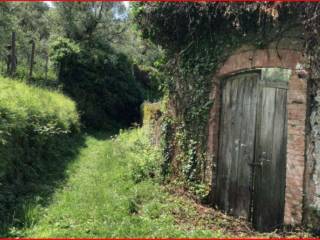 Terreno agricolo all'asta a lavagna via madonna della neve