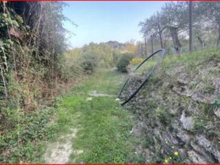 Terreno agricolo all'asta a lavagna via madonna della neve