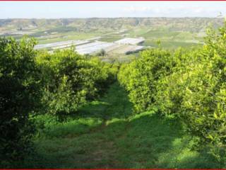 Terreno agricolo all'asta ad acate sp1