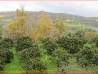 Terreno agricolo all'asta ad acate sp1