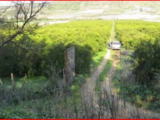 Terreno agricolo all'asta ad acate sp1