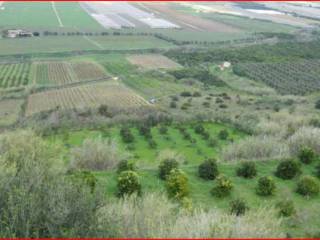 Terreno agricolo all'asta ad acate sp1