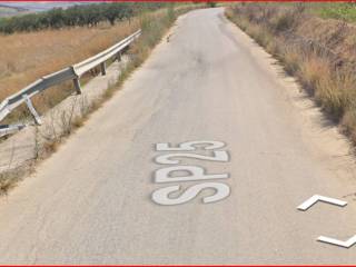 Terreno agricolo all'asta a mazara del vallo sp25