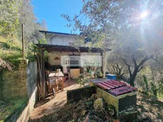 Terreno agricolo in vendita a camaiore 