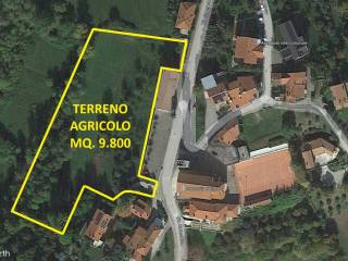 Terreno agricolo in vendita a colceresa 