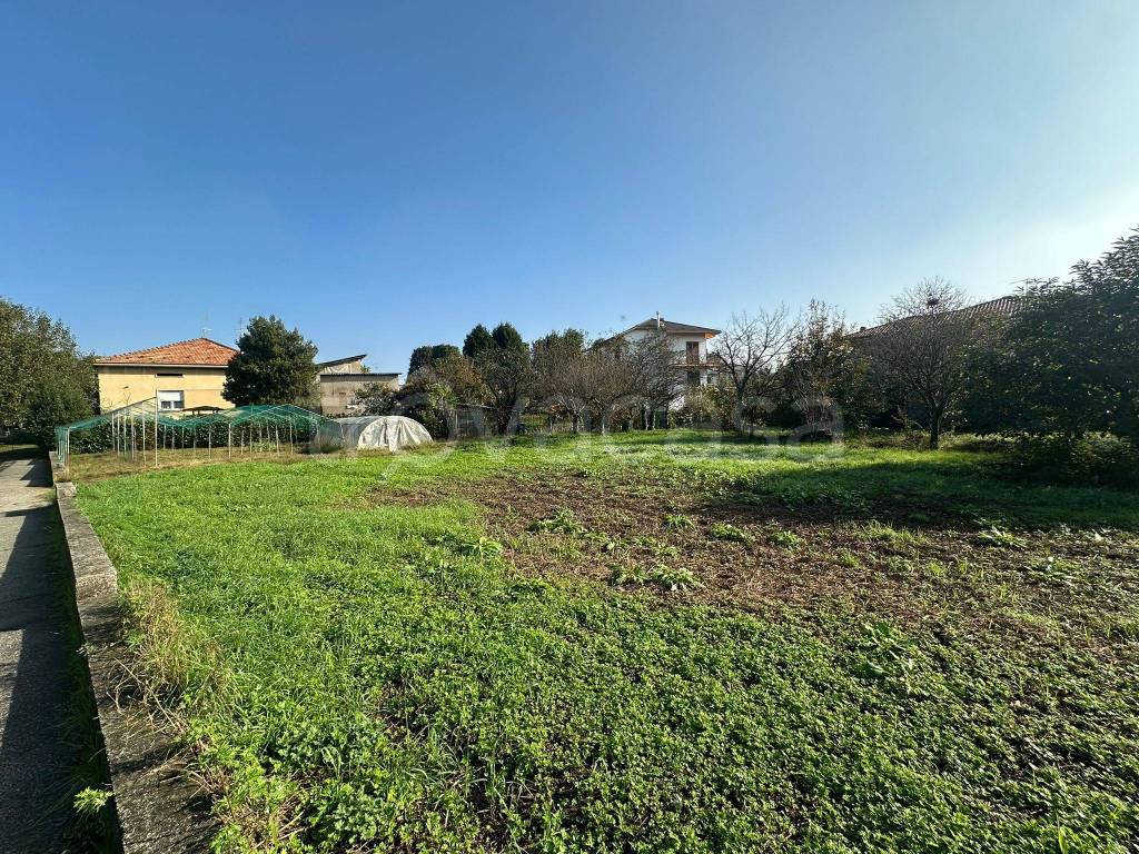 immagine annuncio 11 di 13