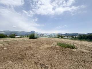 Terreno agricolo in vendita a camaiore via del gallino, 11