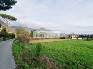 Terreno agricolo in vendita a camaiore 