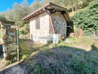 Terreno agricolo in vendita a camaiore 