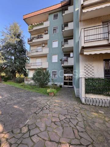 immagine annuncio 2 di 14