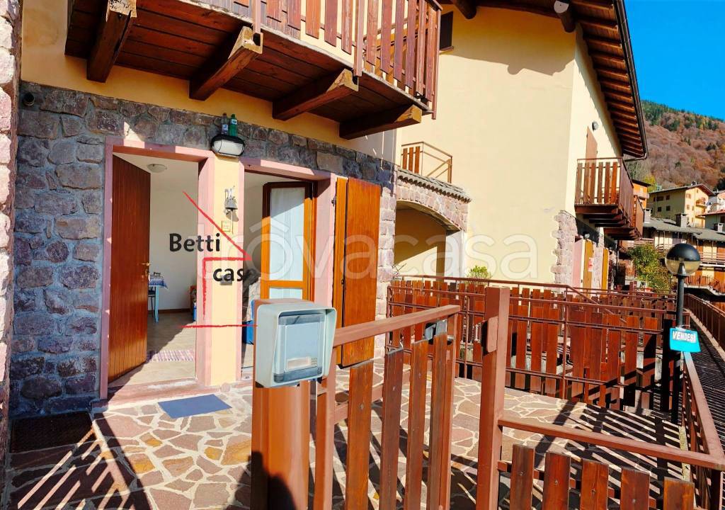 immagine annuncio 1 di 15