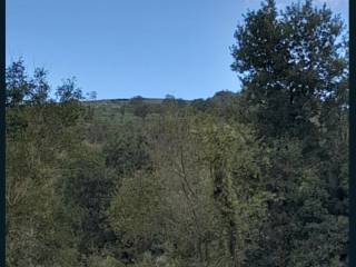 Terreno agricolo all'asta a castel morrone sp213