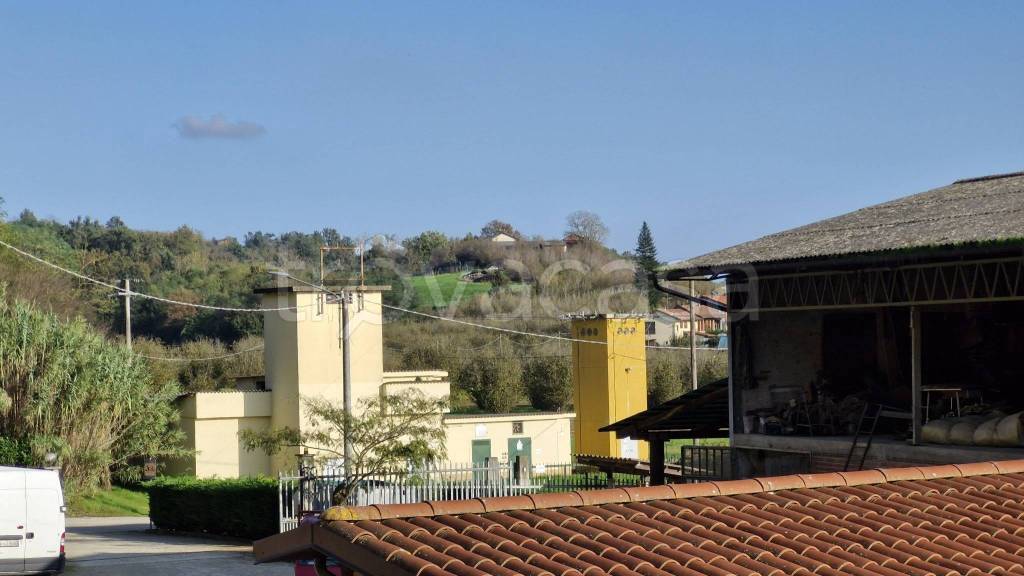 immagine annuncio 7 di 14