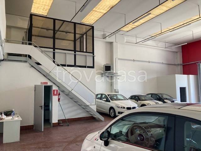immagine annuncio 5 di 15