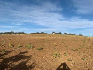 Terreno agricolo in vendita a montalbano jonico monte soprano s.n.c.