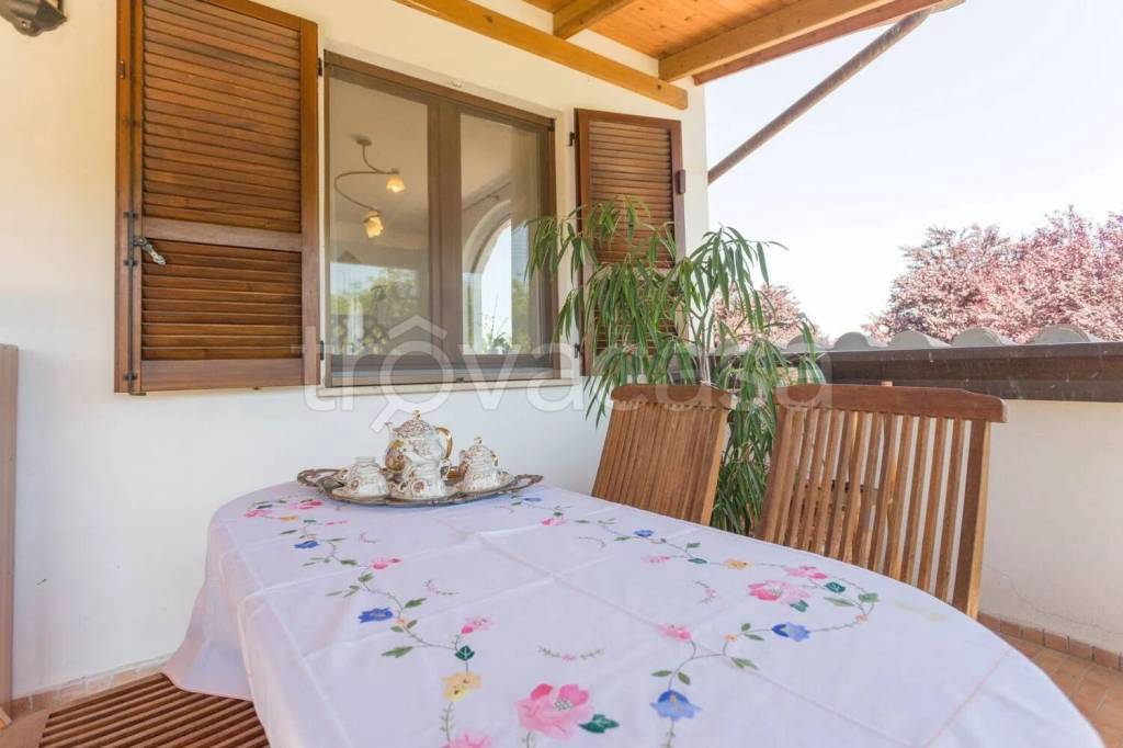 immagine annuncio 9 di 15