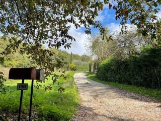 Rustico in in vendita da privato a terranuova bracciolini lungarno strada 3, 161