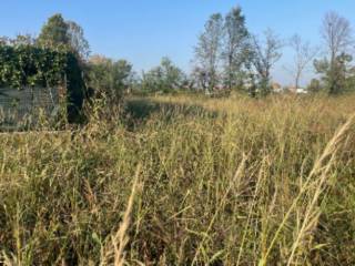 Terreno agricolo all'asta a caravaggio via giuseppe bolagnos