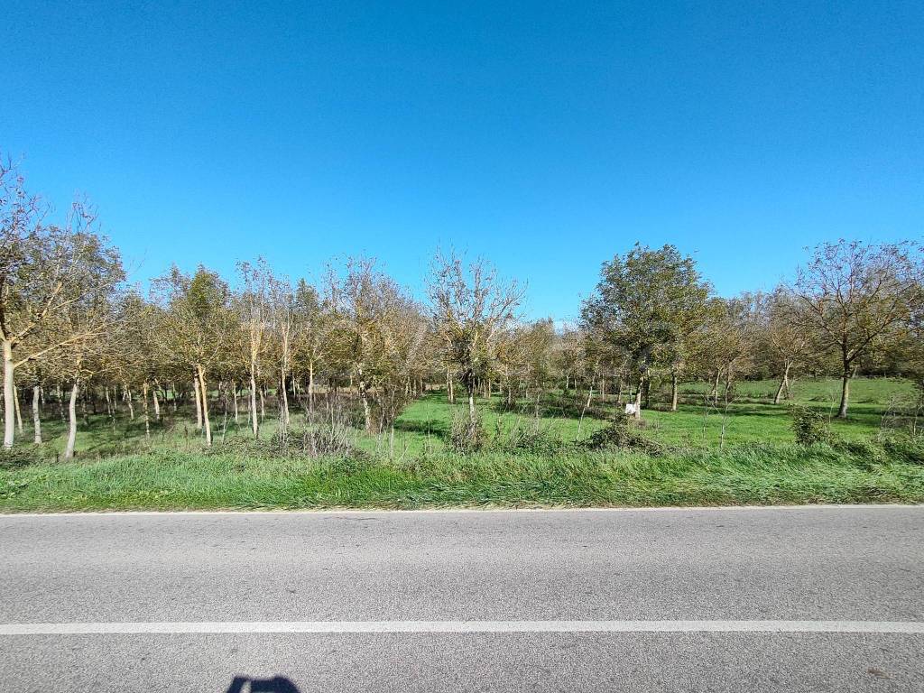 immagine annuncio 10 di 13