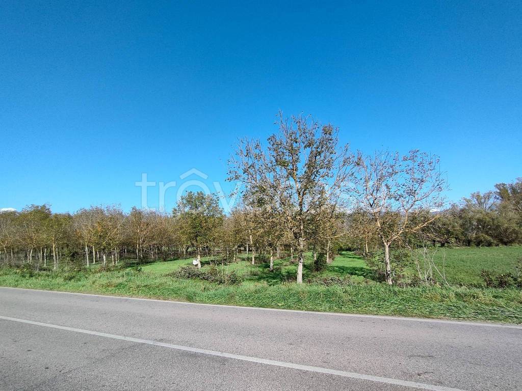 immagine annuncio 11 di 13