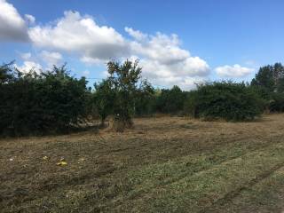 Terreno agricolo in vendita a pomigliano d'arco pomigliano d'arco