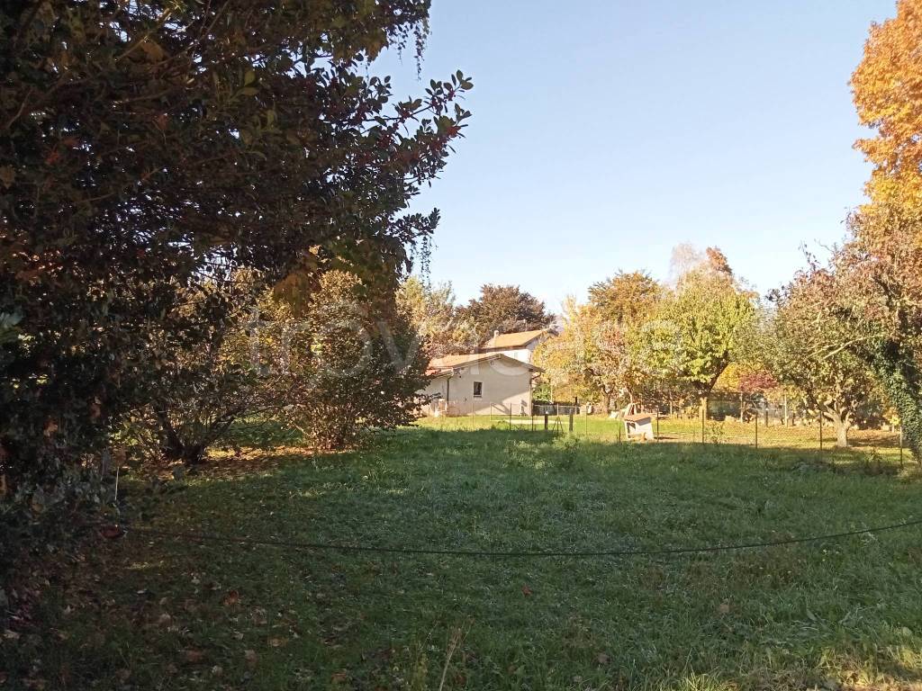 immagine annuncio 2 di 9