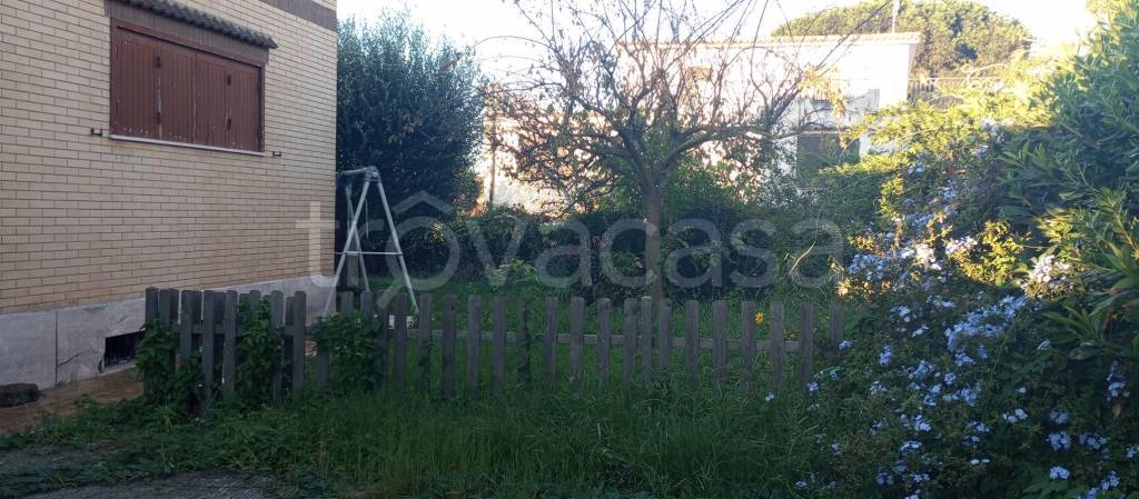 immagine annuncio 4 di 8