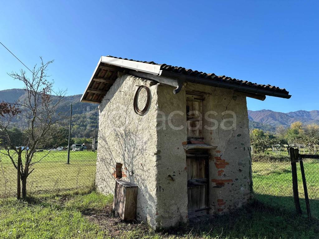 immagine annuncio 5 di 15