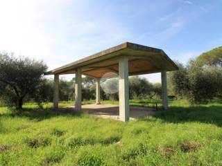 Terreno agricolo in vendita a montelibretti via dei pini, 8