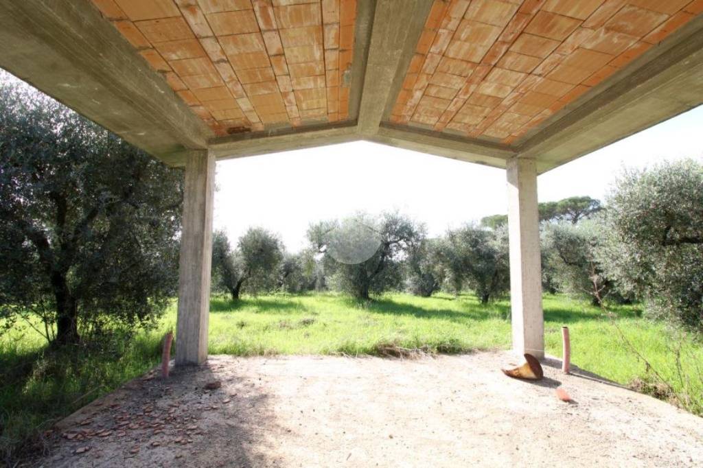 immagine annuncio 4 di 14