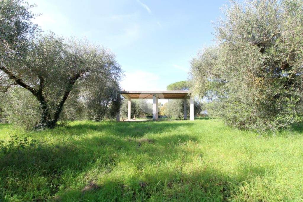 immagine annuncio 6 di 14