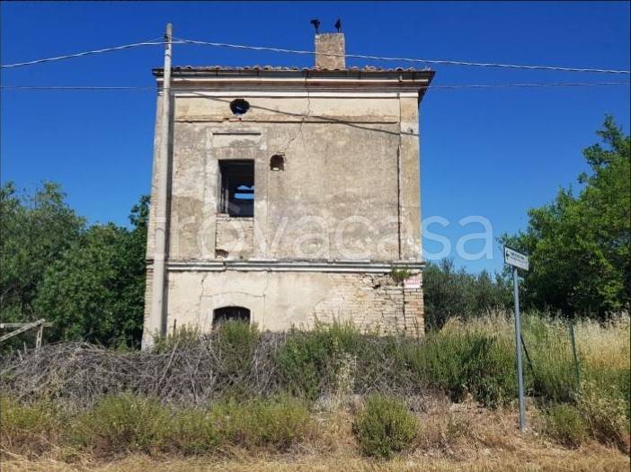immagine annuncio 3 di 8