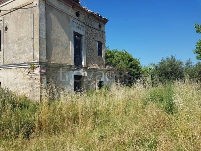 immagine annuncio 1 di 8