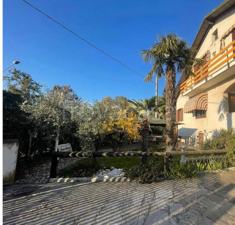 immagine annuncio 7 di 11