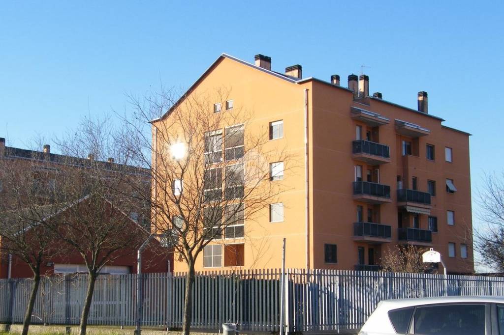 immagine annuncio 3 di 15