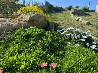 Terreno agricolo in vendita a taggia 