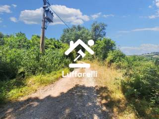 Terreno agricolo all'asta a monte castello di vibio via del furioso