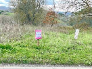 Terreno agricolo in vendita a viterbo strada provinciale 18