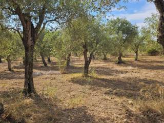 Terreno residenziale in vendita a sassari strada vicinale malafede