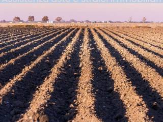 Terreno agricolo all'asta a burago di molgora via leonardo da vinci