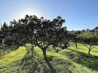 Terreno agricolo in vendita a sassari loc. segassita manna