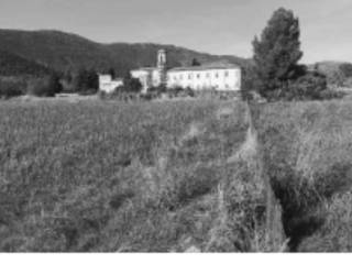 Terreno agricolo all'asta a corfinio contrada pera di corvo