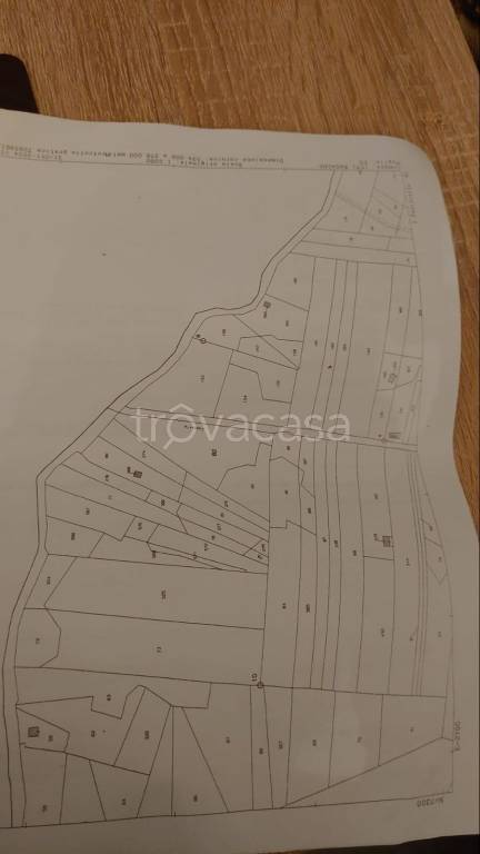 immagine annuncio 13 di 14