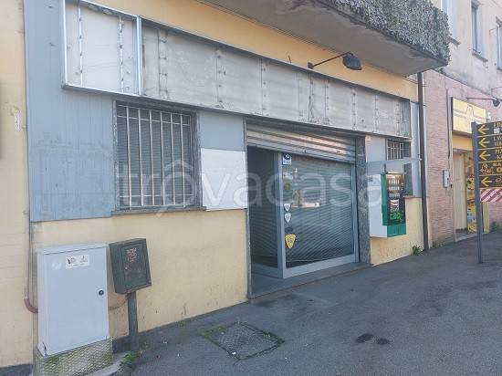 immagine annuncio 4 di 14