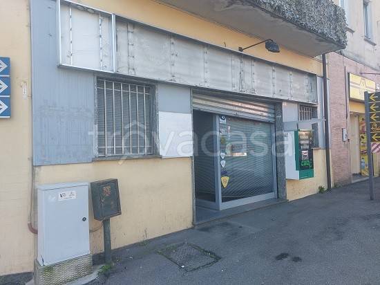 immagine annuncio 5 di 14