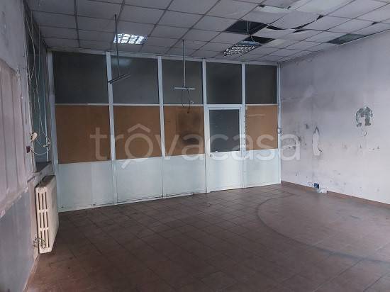 immagine annuncio 6 di 14