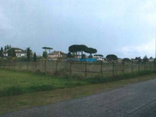 Terreno agricolo all'asta ad ardea viale perseo, 40