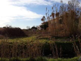 Terreno agricolo all'asta a viareggio via aurelia sud