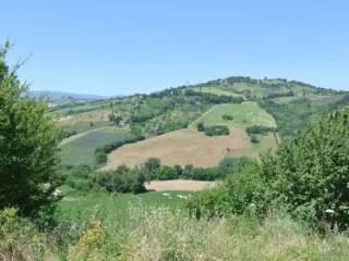 Terreno agricolo all'asta a tolentino contrada sant'angelo