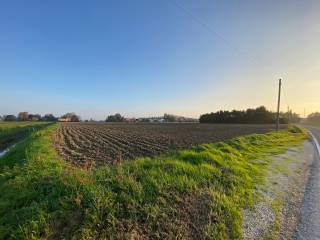 Terreno agricolo in vendita ad argenta via correggiolo colombarina